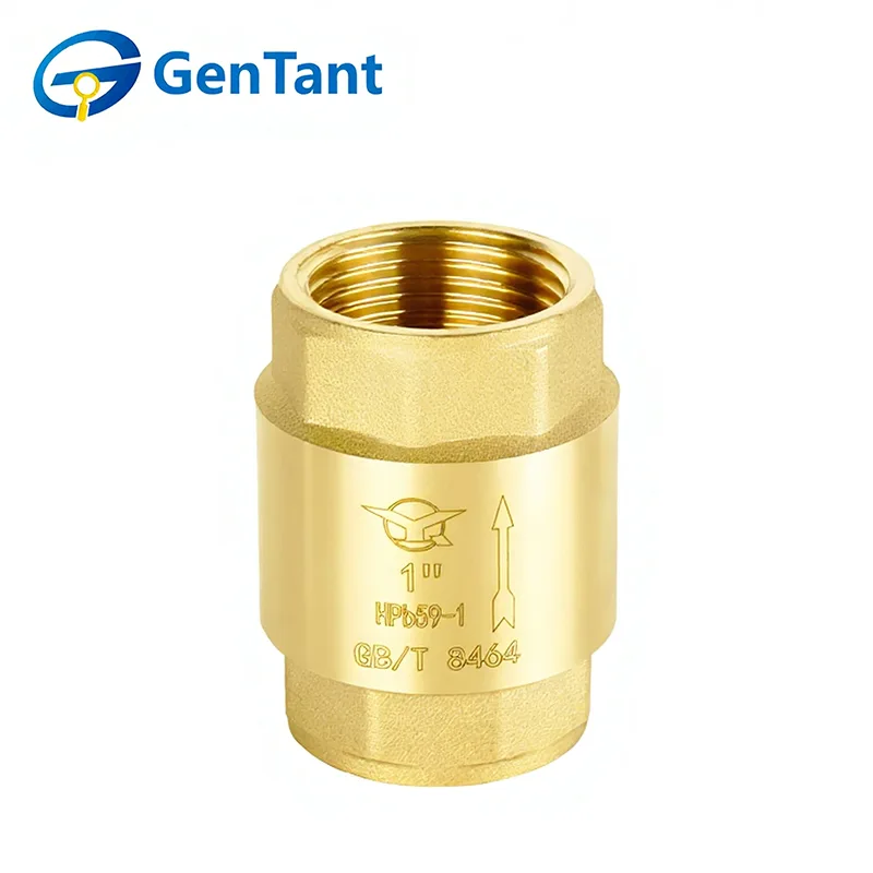 Пружинный обратный клапан